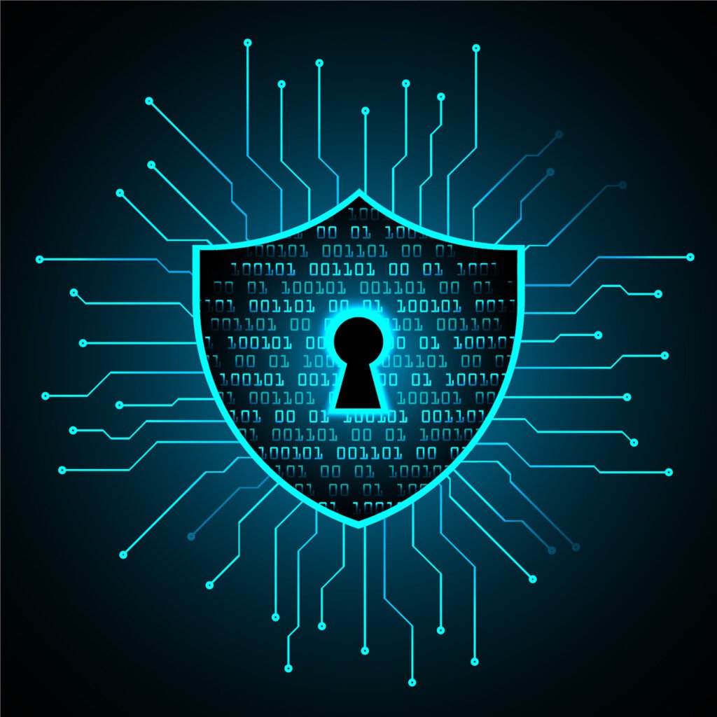 Third Party Risk Management Services: