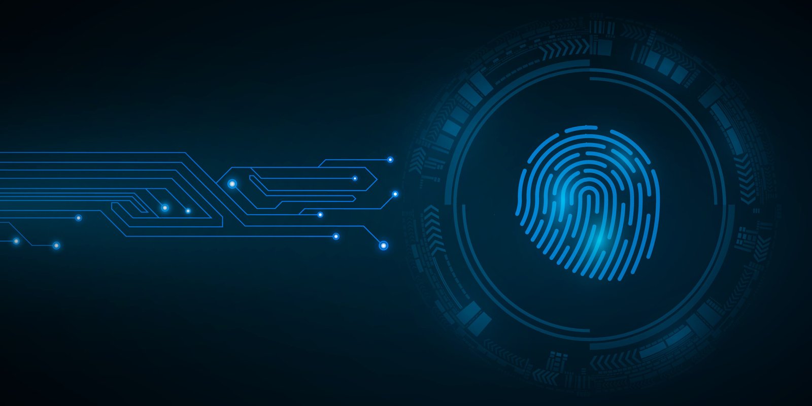 New Digital Fingerprints 